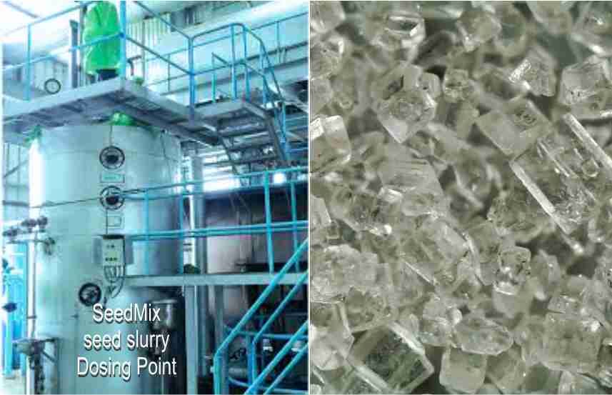 Sugar Seed Slurry